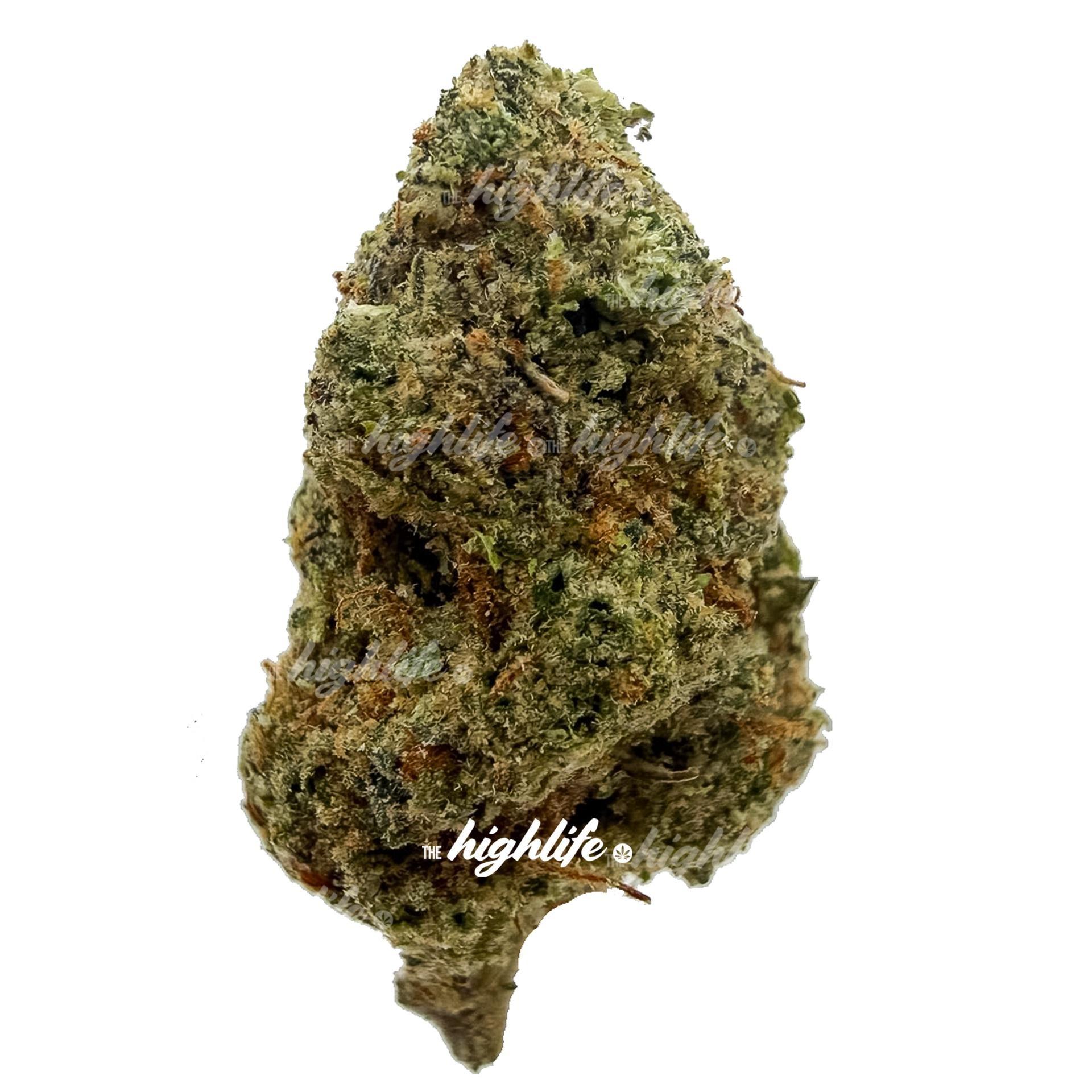 John Wick OG