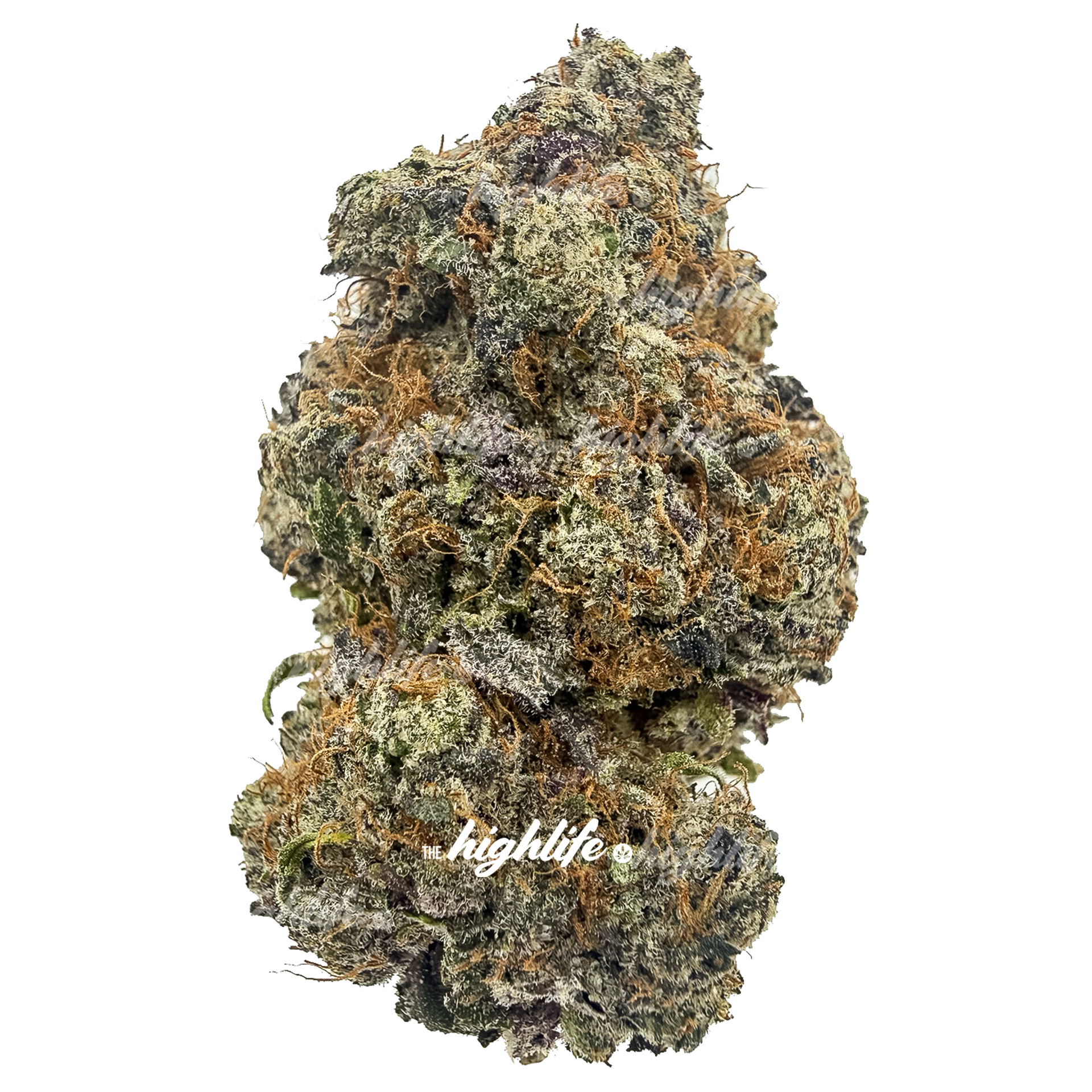 Dark Star